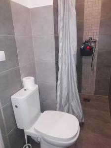 a bathroom with a toilet and a shower curtain at Apartament Pod Kukułką in Kłodzko