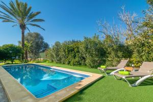 a swimming pool with two lawn chairs and a palm tree at Es Molí Can Torres in Sineu