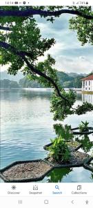 a picture of a view of a body of water at Charlton Kandy City Rest in Kandy