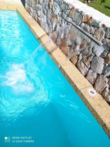 un delfín está nadando en una piscina en La Cuccuvascia pool house, en Alessano