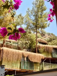Paisagem natural perto do hotel