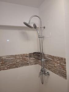 a shower in a bathroom with a shower head at Neversea Apartment in Constanţa +38 photos