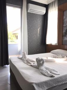 Gallery image of Anita Kemer Noch Hotel - All Inclusive in Kemer