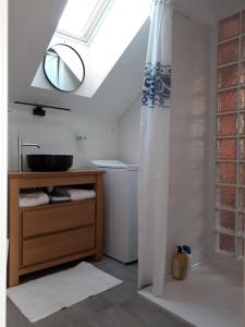een badkamer met een wastafel en een douchegordijn bij Gîte Tante Aurore 1 chambre in Chémery