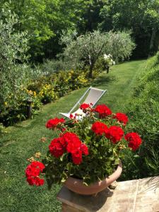 Vonkajšia záhrada v ubytovaní B&B La Cornice