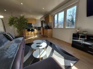 a living room with a couch and a table at Superbe appartement au centre de St Jorioz in Saint-Jorioz