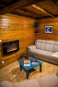 sala de estar con sofá y chimenea en Chalet des Hauts- Vue piton des neiges, en Le Tampon