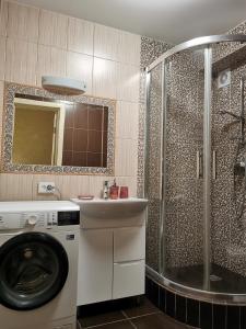 a bathroom with a washing machine and a shower at Chernigov City Centre Apartments in Chernihiv