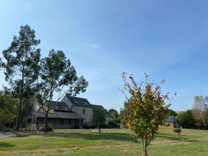 a house and a tree in a yard at La Chambre de Claire in Les Iffs