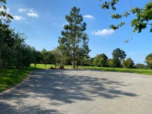 a large parking lot with a tree in the middle at La Chambre de Claire in Les Iffs