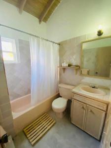 e bagno con servizi igienici, lavandino e doccia. di Modern 3Bed House in the heart of Swetes village a All Saints