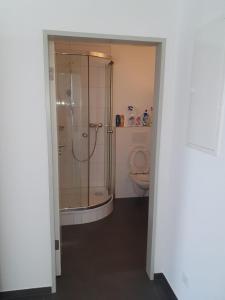 een badkamer met een douche en een toilet bij Schönes Studio in Arbon am Bodensee Neu Klimatisiert ! in Arbon