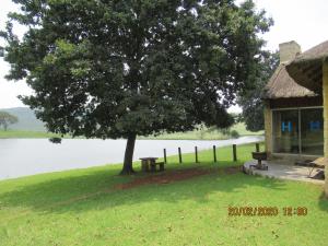 a tree in front of a building with a bench under it at Elandskloof Trout Farm in Dullstroom