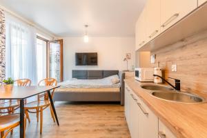 Kuchyňa alebo kuchynka v ubytovaní APARTAMENTY MIERZEJA - STEGNA PARK STUDIO, 500 m od plaży