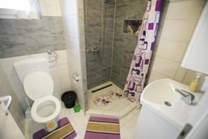 a bathroom with a shower and a toilet and a sink at Apartment in Rakovica with Wi-Fi (601-3) in Rakovica