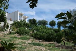 a house on top of a hill with plants at Villa Caravaggio Comfort e Relax in Rocca San Giovanni
