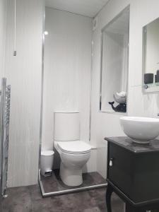 a bathroom with a white toilet and a sink at Saphire Glasgow Apartments in Giffnock