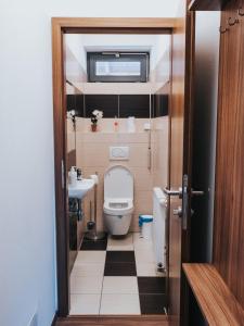 a small bathroom with a toilet and a sink at Hotel Horse Riding - Jezdecký Areál Tršice in Tršice