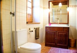 een badkamer met een toilet, een wastafel en een spiegel bij Casa Helipa in Arró