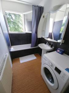 a bathroom with a washing machine and a sink at Chambre d'hôte Les Cottages de Sainte Émilie in Annonay