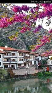 un edificio junto a un río con flores rosas en Sehri̇-zade Yalisi, en Amasya