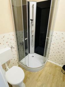 a shower stall in a bathroom with a toilet at Monteur Domizil und Appartements Erfurt in Erfurt