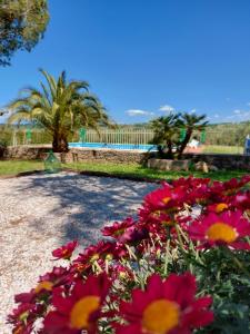 Vonkajšia záhrada v ubytovaní I Girasoli di Lari - Appartamento Indipendente 2 camere da letto