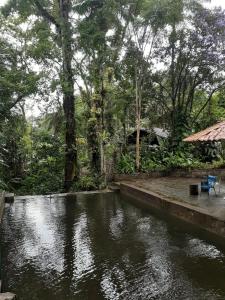 uma casa com um lago no meio de uma floresta em Toca da Onça em Penedo