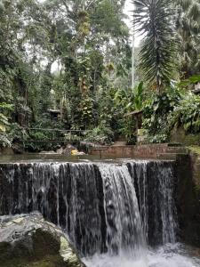 a waterfall in the middle of a forest at Toca da Onça in Penedo