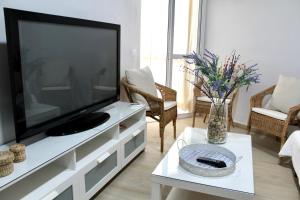 TV a/nebo společenská místnost v ubytování WISH SUITE BASILICA