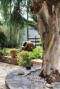 Giardino di Ikaria Utopia - Cusco Studios