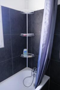 a bathroom with a bath tub with a shower curtain at Chambre d'hôte Sainte Émilie in Annonay