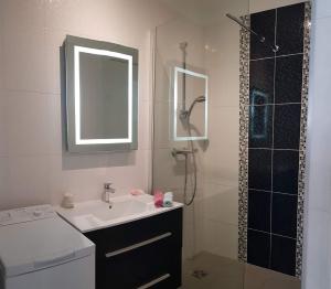 Un baño con lavabo y ducha con espejo. en Sudio bord de mer Ajaccio, en Ajaccio 14 fotos más