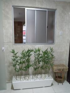 Casa Inteira aconchegante com garagem Próximo ao Aeroporto في لورو دي فريتاس: مجموعة من النباتات في الزرع الأبيض في الغرفة