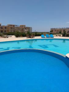 Bazén v ubytování La Perla Resort Ras Sudr nebo v jeho okolí