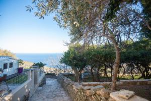 Naturlandskabet i nærheden af feriehuset + 30 billeder