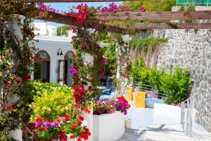 Сад в Hotel La Mandorla
