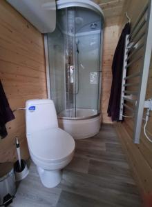 a bathroom with a white toilet and a shower at Maringotky Šumava in Sušice