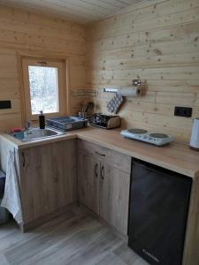 una cocina con fregadero y encimera en una cabaña en Maringotky Šumava, en Sušice