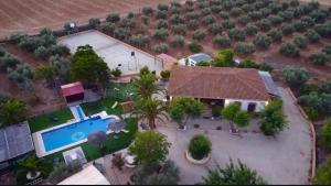 アルダレスにあるFinca Villa Reyのスイミングプール付きの家屋の空中ビュー