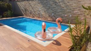 dos cisnes están sentados en una piscina en Solar Oliveira en Angra dos Reis