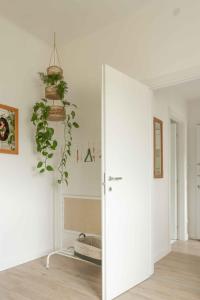 een kamer met witte muren en een deur met een plant bij VITEDIMARE APARTMENT SOLE - SUN in Muggia