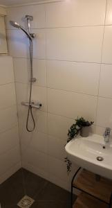 een badkamer met een douche en een wastafel bij Appartement Duinroos Boodtlaan 1K De Koog-Texel in De Koog