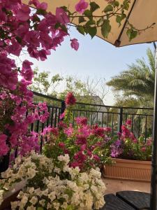 Cherrywood House في دبي: حفنة من الزهور الزهرية والبيضاء على السياج