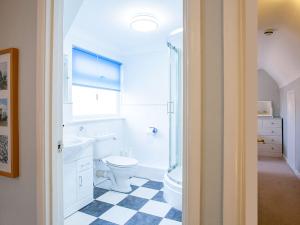 a bathroom with a toilet and a shower and a sink at The Castleton in Swanage