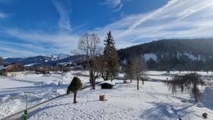 Hotel Stierer talvel