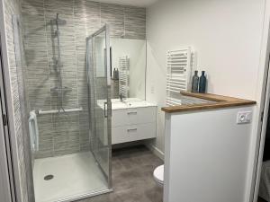 a bathroom with a shower and a toilet and a sink at Centre ville - Maison chaleureuse - 6 pers in Châteaubriant