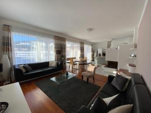 TV a/nebo společenská místnost v ubytování Chalet Elisabeth