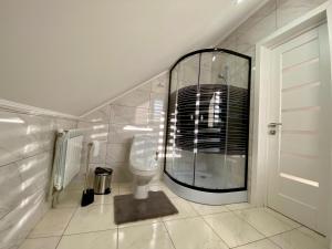 ein Bad mit einem WC und einem Spiegel in der Unterkunft Жива вода in Scheschory