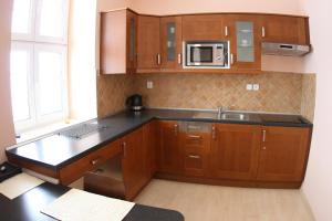 Kuchyň nebo kuchyňský kout v ubytování Apartmán Bílý Kříž + 14 fotografií